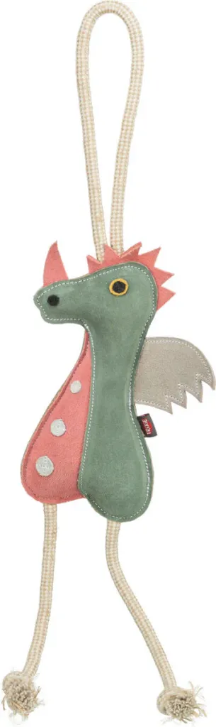 Drache am Tau